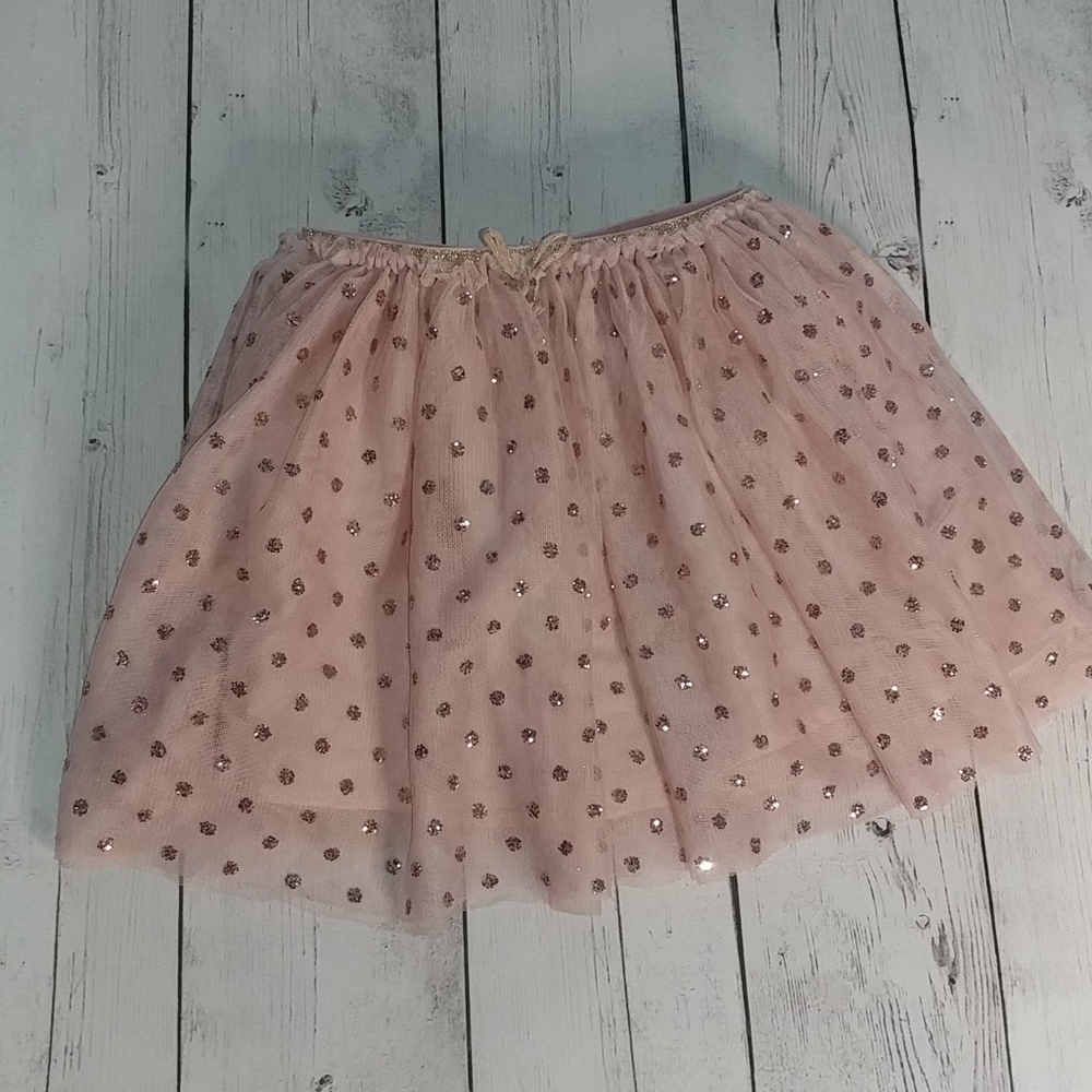 H&M Sparkly Tulle Skirt